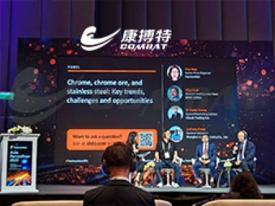International Ferroalloys 2025